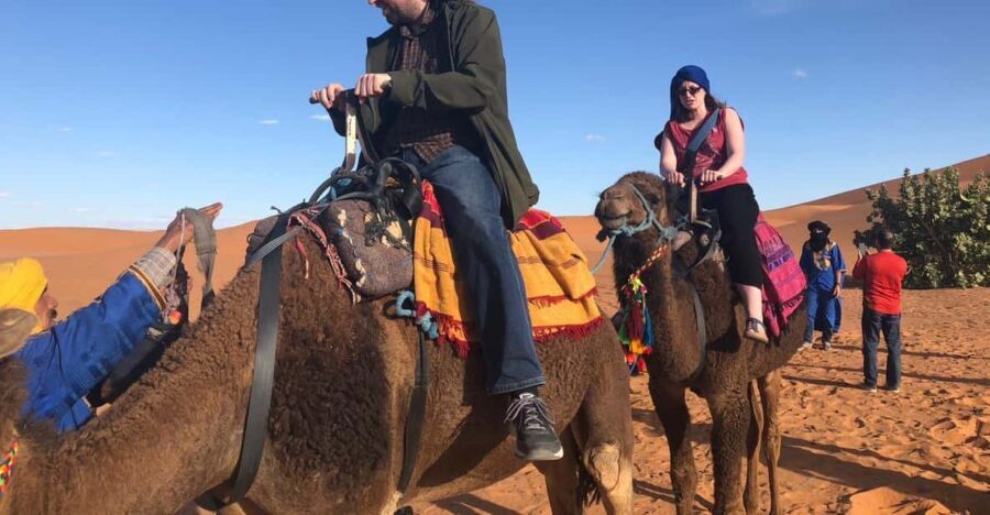 Merzouga: Overnight in Luxury camp with camels dinner - Exploring the Experience in Detail