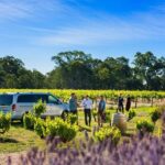 Micro-Group Barossa Valley Wine Tour from Adelaide - Why This Tour Offers Great Value