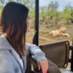 Mid-Range Kruger & Panorama All-Inclusive Safari from Joburg - Overview of the Tour