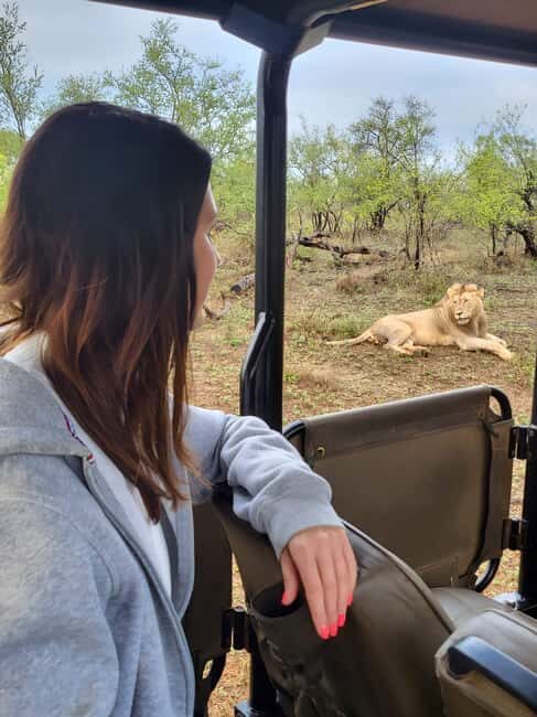 Mid-Range Kruger & Panorama All-Inclusive Safari from Joburg - Overview of the Tour