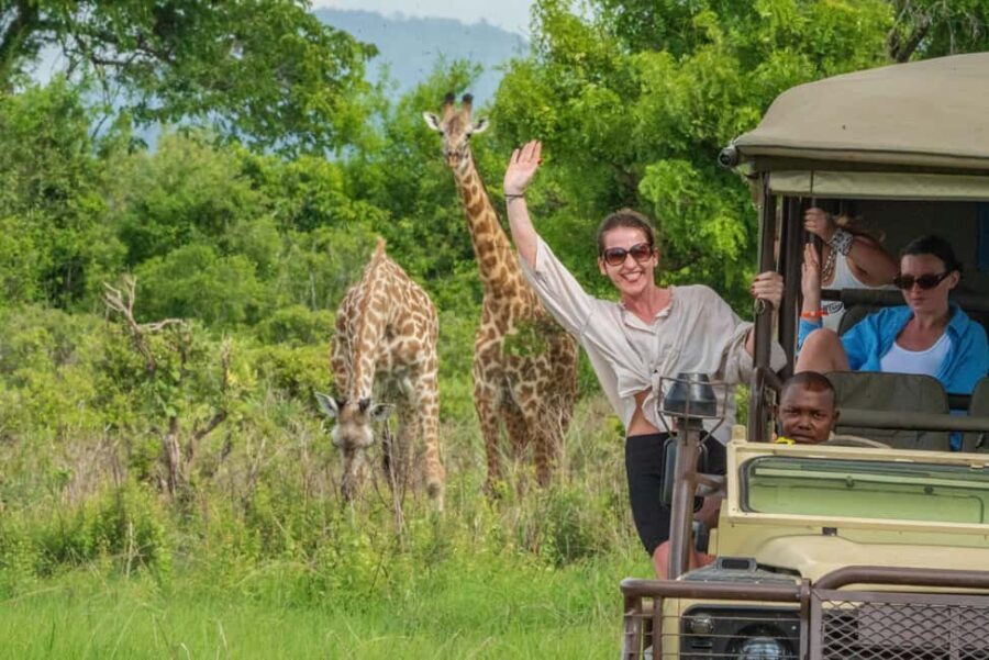 Mikumi Day Safari Tour - What’s Included and What to Consider