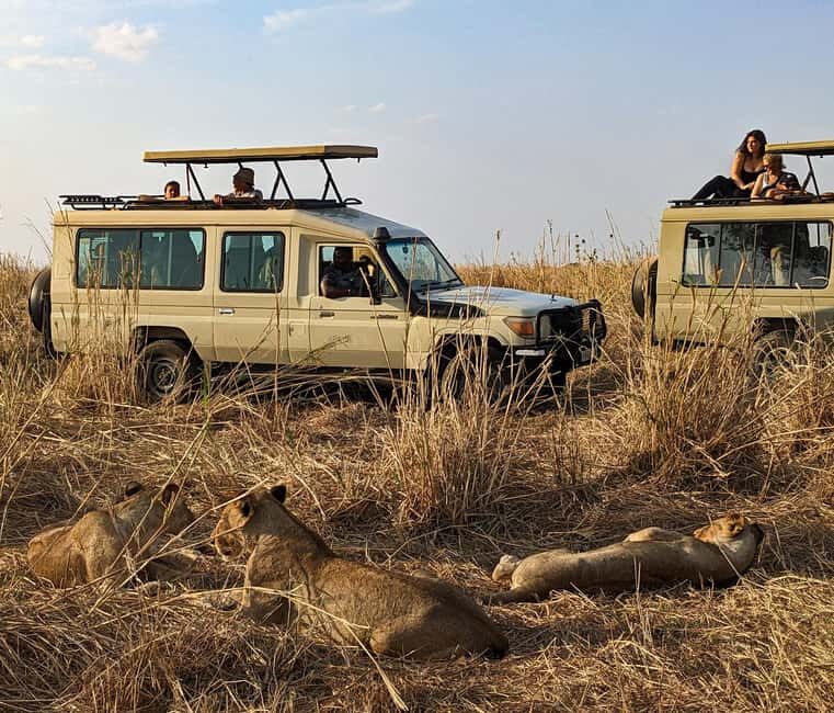 Mikumi National Park: Guided Safari Tour - The Value and Practical Aspects