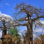 Mikumi National Park & Udzungwa Waterfalls 4-Day Tour - Unpacking the Experience: Day-by-Day Breakdown