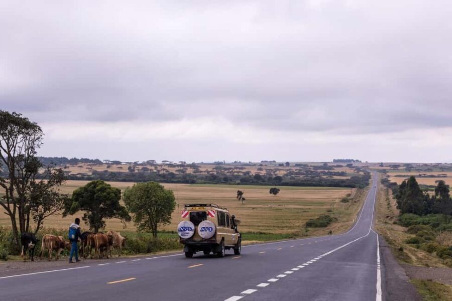 Mikumi NP safari & Maasai village & sunset: 2 days 1 night - What’s Included and What to Consider