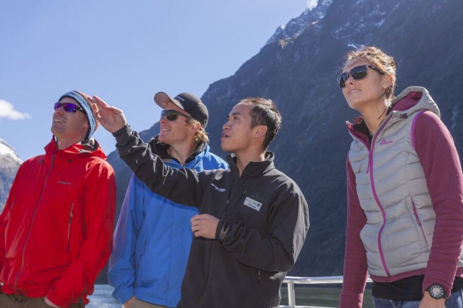Milford Sound: 2-Hour Small Boat Scenic Cruise - The Itinerary Breakdown