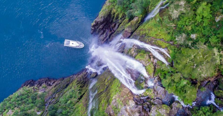 Milford Sound: Boutique Small-Boat Cruise - Final Thoughts: Is This Tour Right for You?