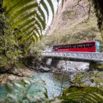 Milford Sound Coach & Cruise ex Te Anau Stunning Views with Lunch - Practical Tips for Travelers