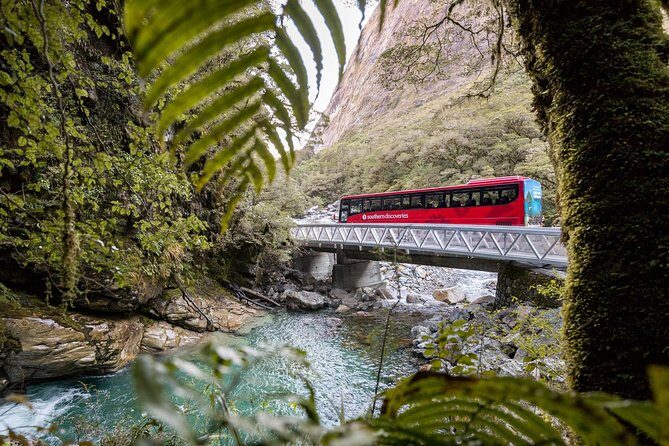 Milford Sound Coach & Cruise ex Te Anau Stunning Views with Lunch - Practical Tips for Travelers