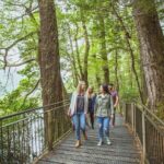 Milford Sound Coach & Cruise Tour from Te Anau - Food and Drink