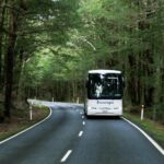 Milford Sound Day Tour from Te Anau - The Value for Money