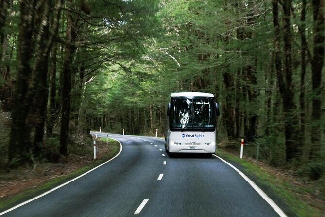Milford Sound Day Tour from Te Anau - The Value for Money