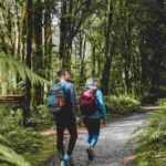 Milford Sound: Nature Cruise & Milford Track Walk - Discovering Milford Sound: What’s Included and Why It Matters