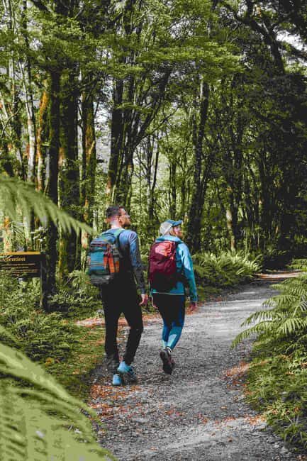 Milford Sound: Nature Cruise & Milford Track Walk - Discovering Milford Sound: What’s Included and Why It Matters
