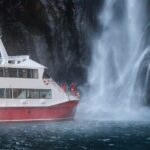 Milford Sound Nature Cruise with Southern Discoveries - A Deep Dive into the Milford Sound Experience