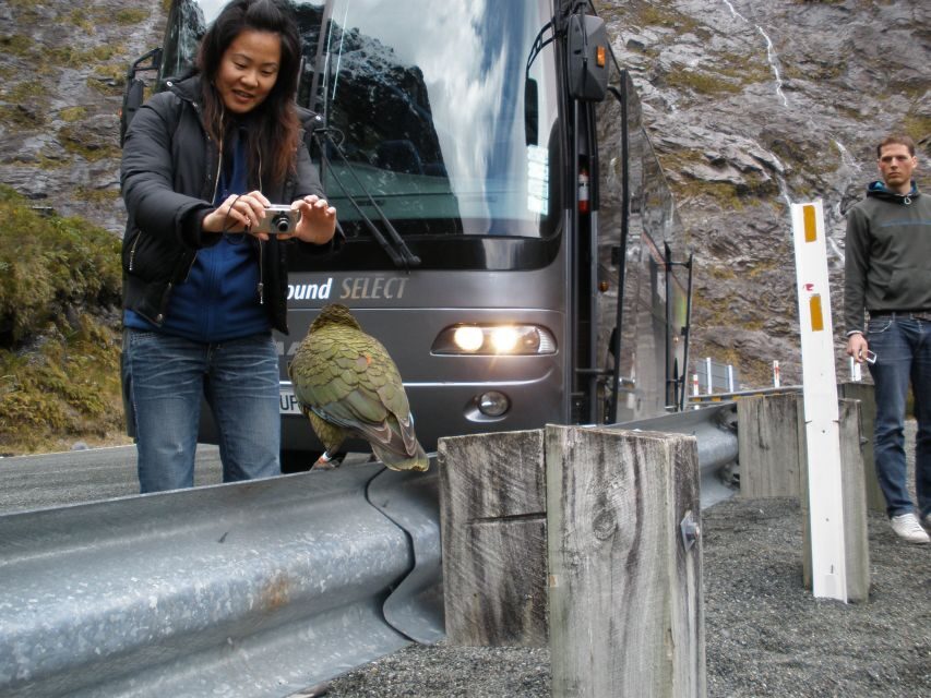 Milford Sound Premium Day Tour and Cruise from Te Anau - Practical Considerations