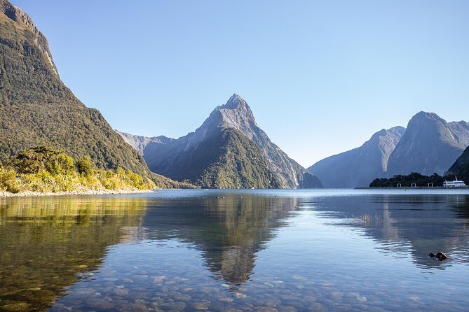 Milford Sound Small Group Tour from Queenstown with Scenic Flight - Final Thoughts: Who Should Consider This Tour?