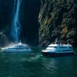 Milford Sound: Waterfalls, Wildlife, and Rainforest Cruise - Accessibility and Practical Details