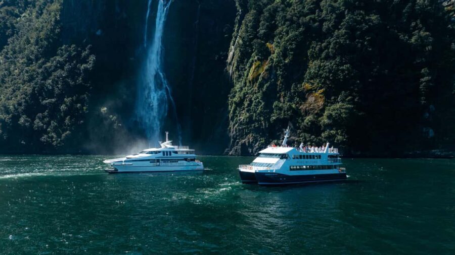 Milford Sound: Waterfalls, Wildlife, and Rainforest Cruise - Accessibility and Practical Details