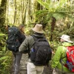 Milford Track: Full Day Guided Hike and Nature Cruise - The Guided Hike: Walking Through a World of Waterfalls and Forests