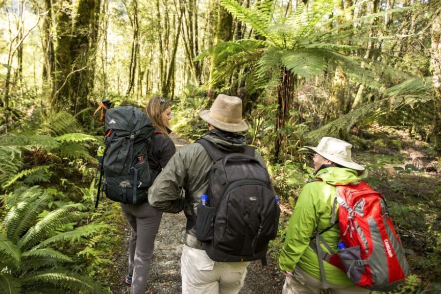 Milford Track: Full Day Guided Hike and Nature Cruise - The Guided Hike: Walking Through a World of Waterfalls and Forests