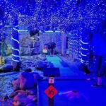 Mini Golf with Rabbits in Rotorua - A Detailed Breakdown of the Experience