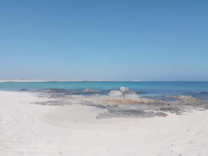 Mirbat: Snorkeling Adventure with Kheva Wreck - Final Thoughts: Who Should Consider This Tour?