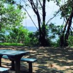 Mission Beach: Explore Dunk Island Day Tour - Final Words