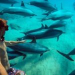 MNEMBA : AFRICAN MALDIVES DOLPHIN TOUR & SNORKLING - What Makes This Tour Special?