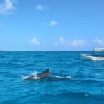 Mnemba Dolphin Watching & Prison Island Adventure With lunch - Is It Worth the Price?
