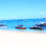 Mnemba from Kendwa & nungwi half day - The Value of the Experience