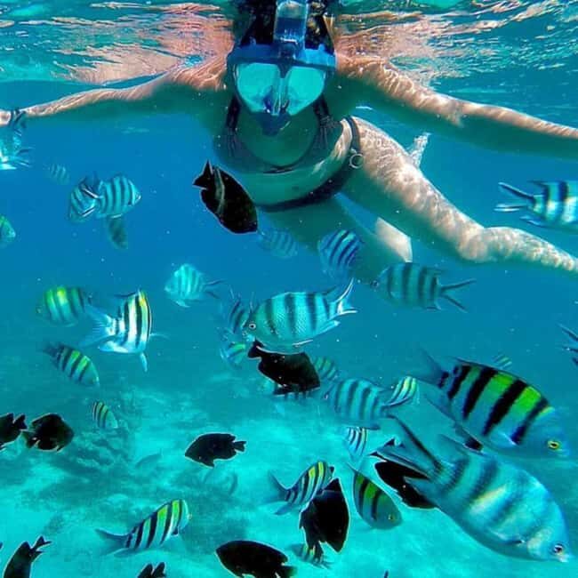 Mnemba island and Stone town tour with sea food lunch - Practical Tips for Making the Most of Your Day