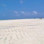 Mnemba Island, Aquarium & Sunset Full-Day Tour (With Food) - Practical Details: What to Know Before You Go