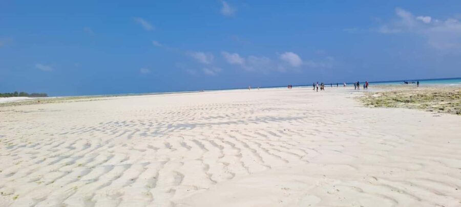 Mnemba Island, Aquarium & Sunset Full-Day Tour (With Food) - Practical Details: What to Know Before You Go