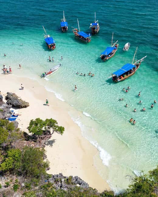 Mnemba Island: Dolphin & Snorkeling Trip with Lunch - Practical Details & Tips for Making the Most of Your Trip