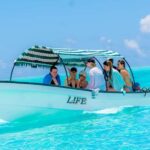 Mnemba Island: Dolphin Swim & Snorkeling with Optional Lunch - Relaxing and Refreshing