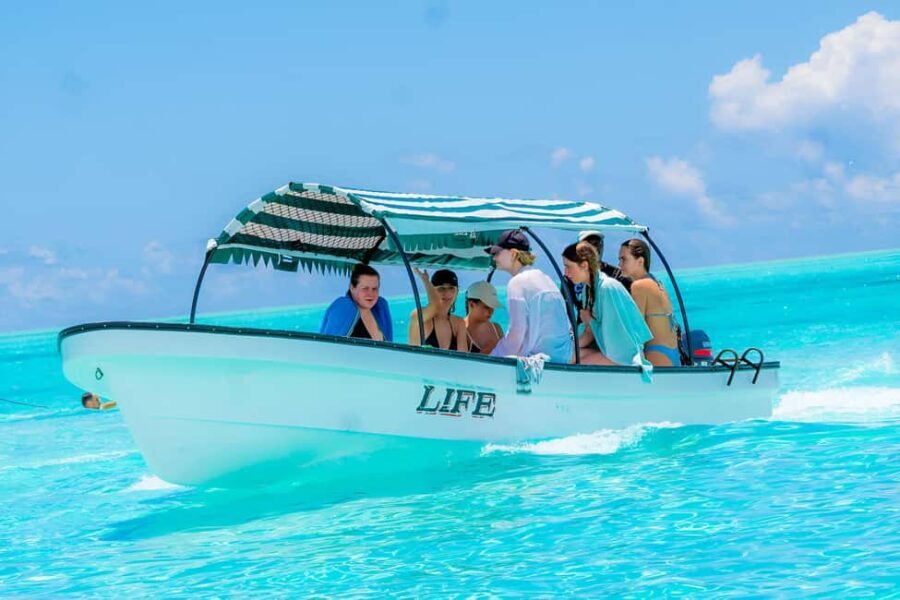Mnemba Island: Dolphin Swim & Snorkeling with Optional Lunch - Relaxing and Refreshing