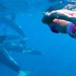Mnemba Island Dolphins + Lunch, Spice Farm & Jozani Forest. - Who Will Love This Tour?