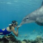 Mnemba Island: Snorkeling & Swim with Wild Dolphins - What to Expect: A Practical Breakdown of the Tour