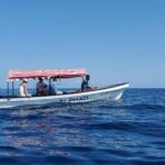 Mnemba Island Tour with Transfer - The Snorkeling Experience at Mnemba Reef