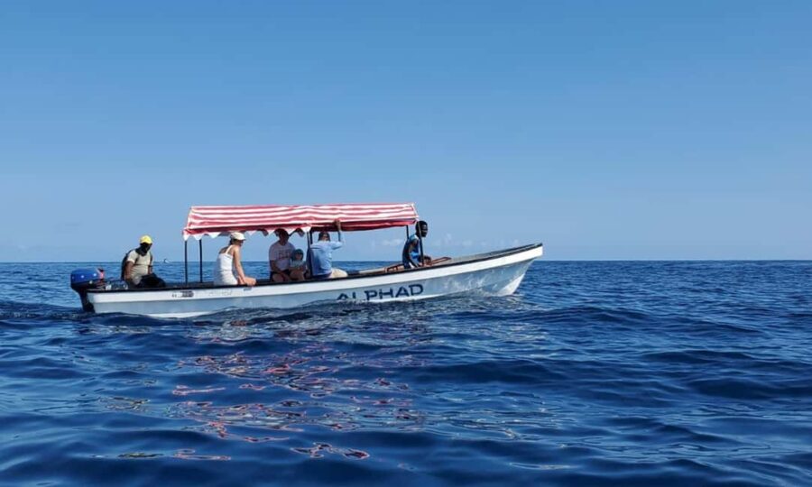 Mnemba Island Tour with Transfer - The Snorkeling Experience at Mnemba Reef