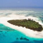 Mnemba Island trip and Baraka aquarium (turtles) - What Travelers Say