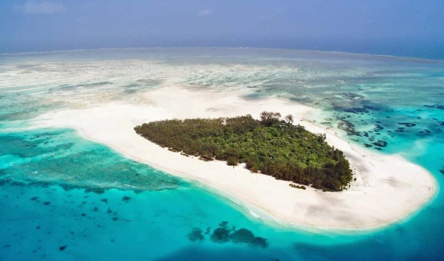 Mnemba Island trip and Baraka aquarium (turtles) - What Travelers Say