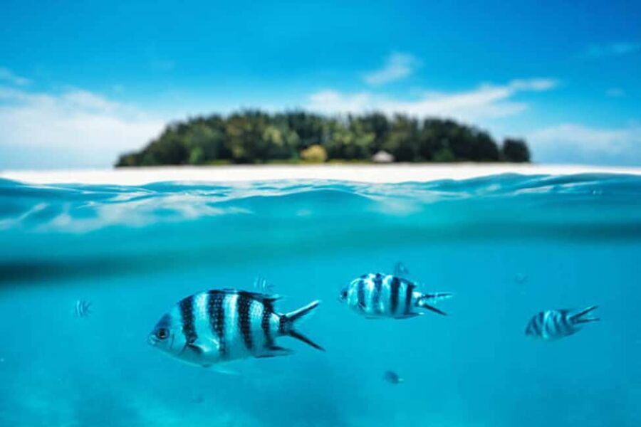 Mnemba paradise; snorkling with jet ski from kendwa beach - The Journey Begins: From Kendwa Beach to Mnemba