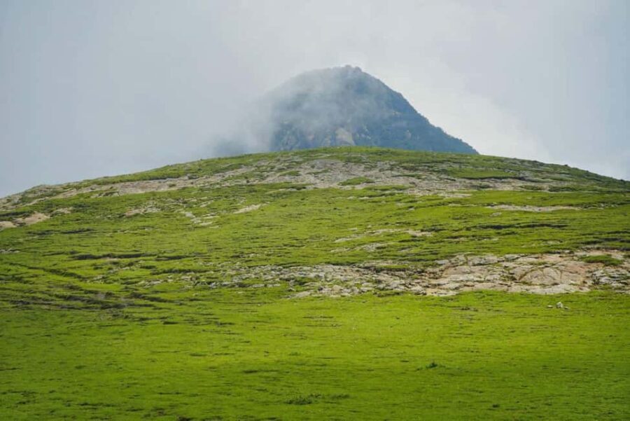 Mogle Mountain Hiking For Birding, Natures From Addis Ababa - The Hike to the Summit