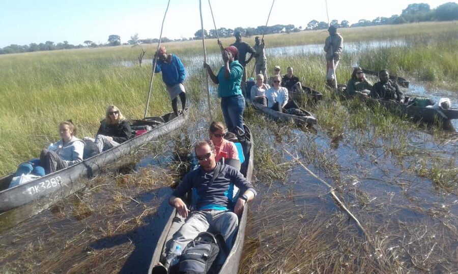 Mokoro Day Trip at the Okavango Delta - An In-Depth Look at the Mokoro Day Trip Experience