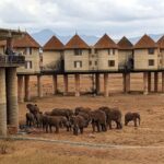 Mombasa: 2-Day Safari to Taita Hills Game Sanctuary - Day 2: A Morning of More Wildlife & Return to Mombasa