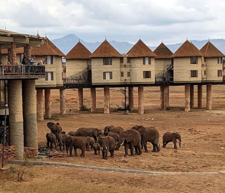 Mombasa: 2-Day Safari to Taita Hills Game Sanctuary - Day 2: A Morning of More Wildlife & Return to Mombasa