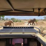 Mombasa: 6-Day Tsavo West, Tsavo East, and Amboseli Safari - Whats Included & What to Expect