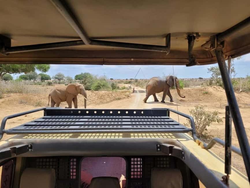 Mombasa: 6-Day Tsavo West, Tsavo East, and Amboseli Safari - Whats Included & What to Expect