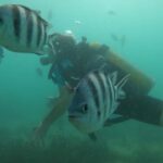Mombasa: Discover Scuba Diving Experience with PADI Guide - Who Should Consider This Experience?